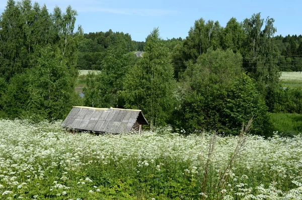 Altes Badehaus am Rande des Dorfes menshikov Jaroslawl Gebiet — Stockfoto