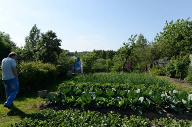  Bahçedeki sebze tarlasındaki kimliği belirsiz adam.