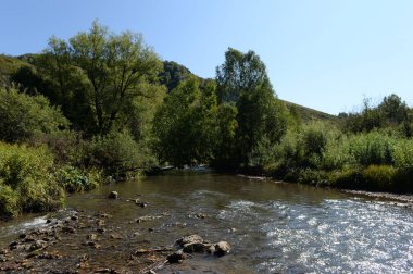 Altai bölgesi, Rusya-5 Eylül 2018: Batı Sibirya 'da Altai bölgesi topraklarında dağ nehri Yarovka. Rusya