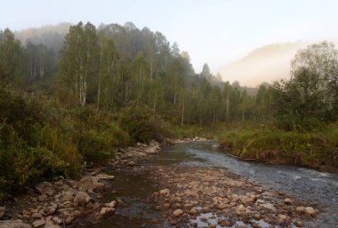  Batı Sibirya'da bir dağ nehri Yarovka erken sabah