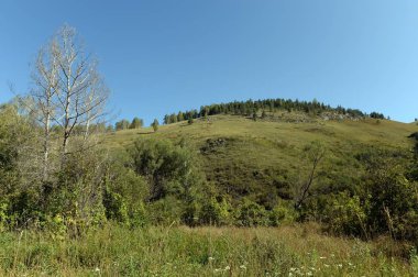   Sabah erkenden Altai Krai dağlarında. Batı Sibirya 