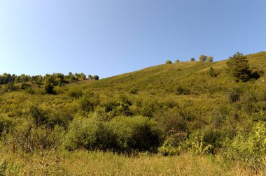   Sabah erkenden Altai Krai dağlarında. Batı Sibirya 