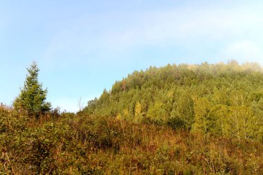    Sabah erkenden Altai Krai dağlarında. Batı Sibirya 