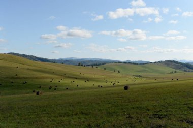  Altai Dağları 'nın eteklerinde hasat edilen saman ruloları ile kırsal peyzaj. Batı Sibirya. Rusya
