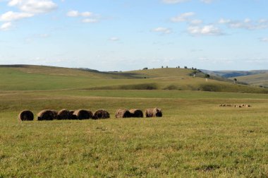 Altai bölgesi, Rusya-5 Eylül 2018: Altay Dağları 'nın eteklerinde hasat edilen saman ruloları ile kırsal peyzaj. Batı Sibirya