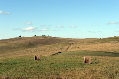  Altai Dağları 'nın eteklerinde hasat edilen saman ruloları ile kırsal peyzaj. Batı Sibirya. Rusya