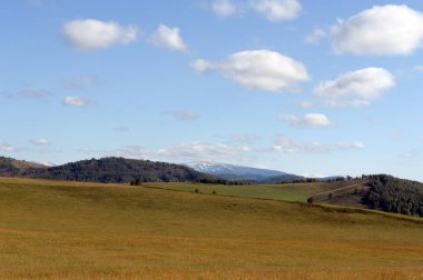  Rusya. Batı Sibirya. Altai Dağları 'nın eteklerindeki