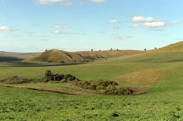 Rusya. Batı Sibirya. Altai Dağları 'nın eteklerindeki — Stok fotoğraf