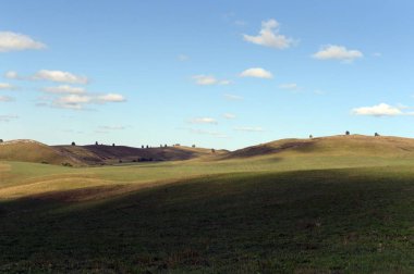   Rusya. Batı Sibirya. Altai Dağları 'nın eteklerindeki