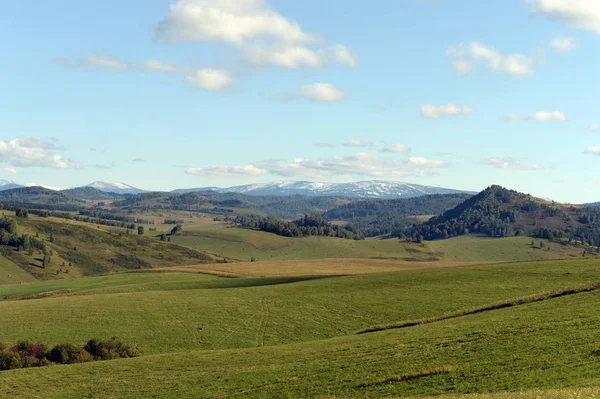 Russie. Sibérie occidentale. Les contreforts des montagnes Altaï — Photo