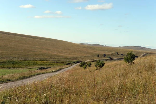 Western Siberia. The road in the foothills of the Altai mountains — Stock Photo, Image