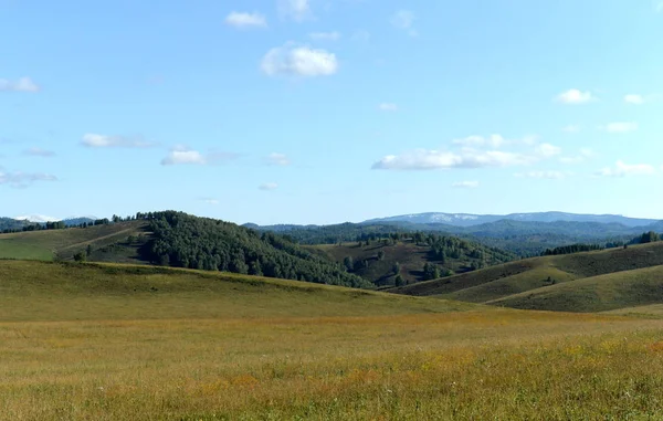 Russland.westsibirien. die Ausläufer des Altai-Gebirges — Stockfoto