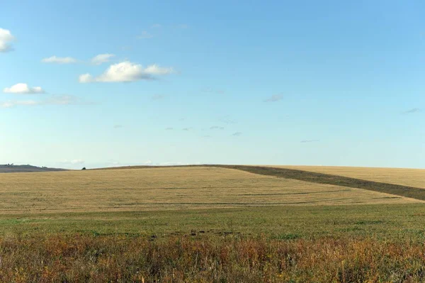 Russia.Western Siberia. The foothills of the Altai mountains — Stock Photo, Image