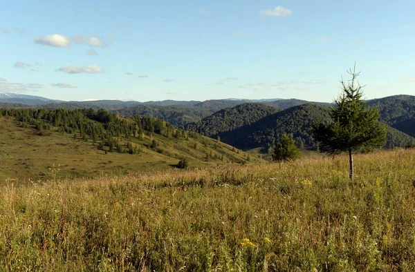 Russland.westsibirien. die Ausläufer des Altai-Gebirges — Stockfoto