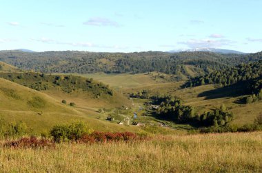  Altay Krai dağlarında Taiga köyü Generalka. Batı Sibirya. Rusya