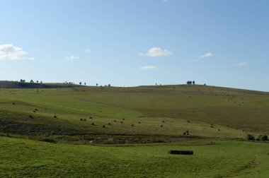   Rusya.Batı Sibirya. Altay dağlarının eteklerinde hasat saman rulo ile Kırsal manzara