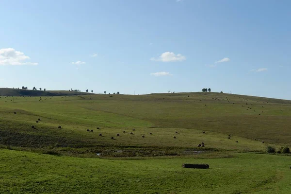 Rússia: Sibéria Ocidental. Paisagem rural com rolos de feno colhidos no sopé das montanhas Altai — Fotografia de Stock