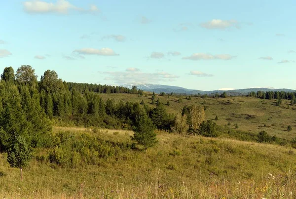 Russland.westsibirien. die Ausläufer des Altai-Gebirges — Stockfoto