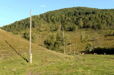  Generalka Altay bölgesi dağ köyü çevresi. Batı Sibirya. Rusya
