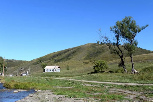 アルタイの領土の山中のタイガ村一般。西シベリアロシア — ストック写真