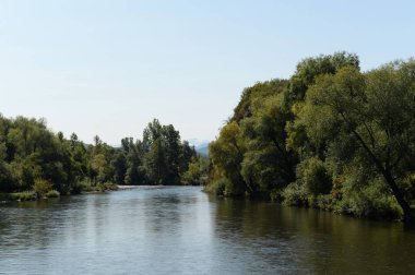  Altay bölgesindeki İnya nehri. Batı Sibirya. Rusya