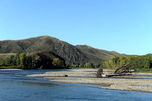 Rivière de montagne Charysh en Sibérie occidentale. Russie — Photo