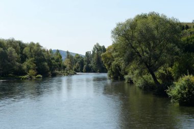   Altay bölgesindeki İnya nehri. Batı Sibirya. Rusya