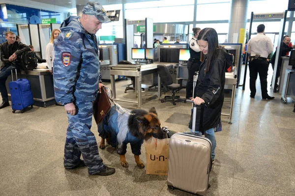 Moskau Russland April 2018 Polizeiinspektor Hundeführer Mit Hund Untersucht Das — Stockfoto