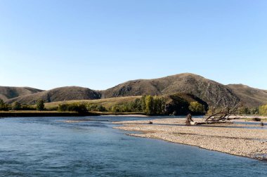   Batı Sibirya'daki Charysh Dağı Nehri. Rusya