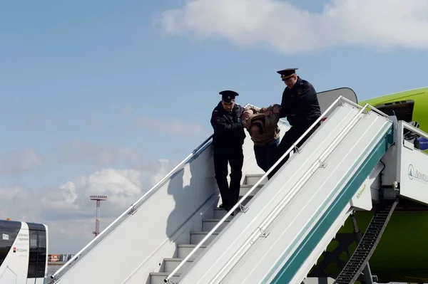 Moskova Rusya Nisan 2018 Ulaştırma Polisi Havaalanında Uçaktan Havacılık Kabadayı — Stok fotoğraf