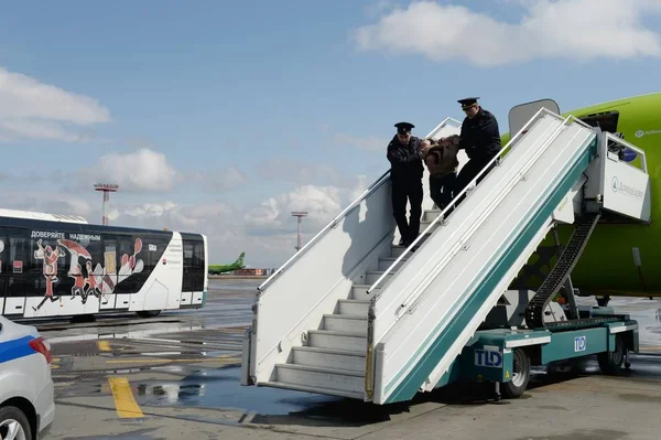Polícia de transporte retira aviação robusta do avião no aeroporto — Fotografia de Stock