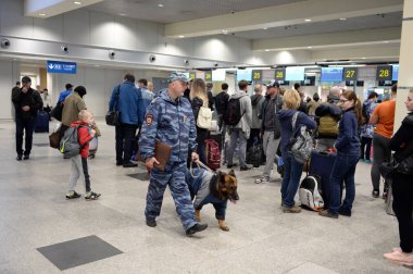  Moskova'nın Domodedovo Uluslararası Havaalanı'nda yolcu terminalinde devriye gezen bir köpekile cynologist müfettiş