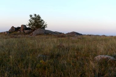  Charysh Nehri yakınlarındaki Altay dağlarında bir akşam. Batı Sibirya