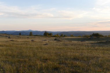  Charysh Nehri yakınlarındaki Altay dağlarında bir akşam. Batı Sibirya