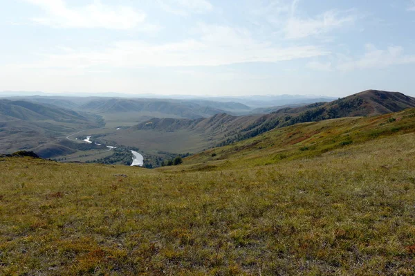 Долина горной реки Чарыш. Алтайский край. Западная Сибирь — стоковое фото