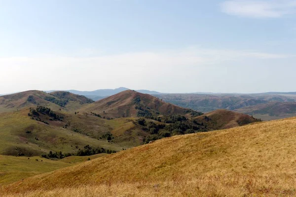 Altay Dağları'nın etekleri. Batı Sibirya. Rusya — Stok fotoğraf