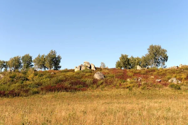 Úpatí pohoří Altai. Západní Sibiř. Rusko — Stock fotografie