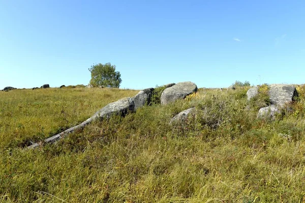 Úpatí pohoří Altai. Západní Sibiř. Rusko — Stock fotografie