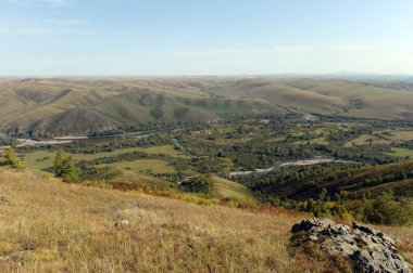  Dağ nehri vadisi Charysh. Altai Bölgesi. Batı Sibirya. Rusya