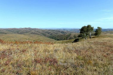 Altay Bölgesi, Rusya - 7 Eylül 2018:Altay Dağları'nın eteklerinde. Batı Sibirya. Rusya