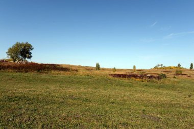    Altay Dağları'nın etekleri. Batı Sibirya. Rusya