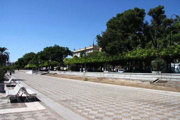 Seville Spain July 2011 Pedestrian Road Sunny Seville — 图库照片