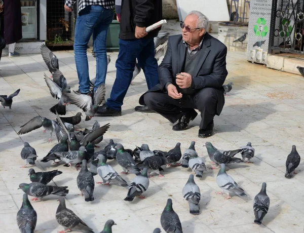 Istanbul Turkey Listopad 2019 Nieznany Starzec Karmi Gołębie Placu Eyup — Zdjęcie stockowe