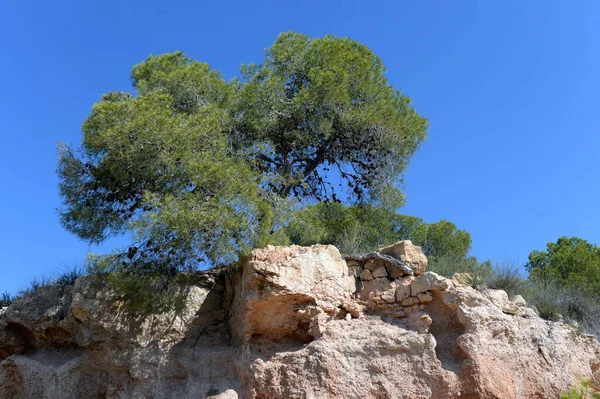 Orihuela Costa Blanca Spagna Settembre 2018 Banche Pietra Orihuela Costa — Foto Stock