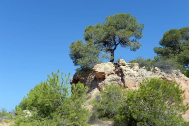 ORIHUELA, COSTA BLANCA, İspanya - 21 Eylül 2018 Orihuela Costa 'daki taş bankaları. İspanya