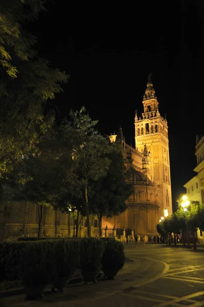 Seville Spain July 2011 Seville Cathedral Late Night 西班牙 — 图库照片