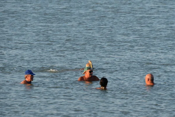 SAN PEDRO DEL PINATAR, SPAIN - 21 Eylül 2018: İnsanlar San Pedro del Pinatar 'daki bir İspanyol tatil köyünde çamurla tedavi ediliyor. İspanya