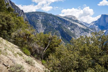Bir dağ eğim, Yosemite Milli Parkı, California, ABD görüntülemek