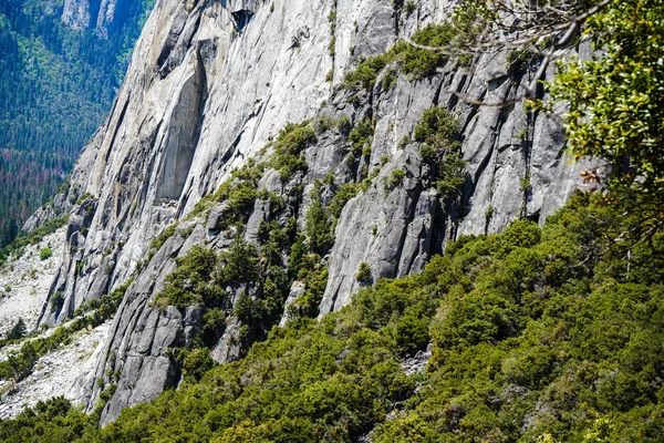 Floresta Montanha Encostas Rochosas Íngremes Parque Nacional Yosemite Califórnia Eua — Fotografia de Stock