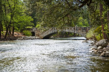 Dağ nehir, Yosemite Milli Parkı, California, ABD genelinde yaya köprüsü